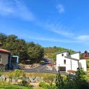 송이밸리자연휴양림 이미지