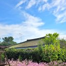 한옥규희 이미지