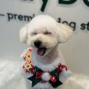 플레이도그 네이버블로그