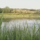 올림픽파크텔뒤 이미지