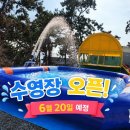 솔잎오토캠핑장 | 태안 캠핑 어은돌힐링캠핑장 — 오션뷰 글램핑·오토캠핑 시설 완벽 가이드