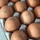 양평유정란맛집 싱싱계란 난각번호 1번 보는법