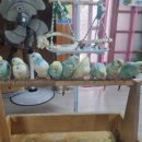 인천조류원 이미지