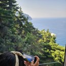 씨스페이스어방가야점 | 울릉도여행:) 울릉도 모노레일과 래우카페 새우빵 후기