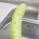 민숙농장 | (농라, 농라에프)민숙농장 오이 공품30개