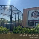 유소년야구장 | 15분도시 부산/ 삼락생태공원유소년야구장