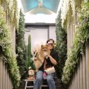 범 노래타운 이미지