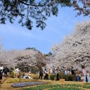 숲속쉼터 이미지