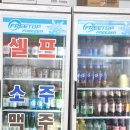 간석종합시장 | 간석오거리역맛집 가성비 좋은 수산시대 싱싱회종합어시장