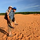 완인농장 이미지