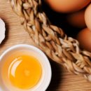 제암농장 이미지