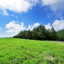 햇살목장 이미지