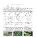 청옥초등학교 이미지