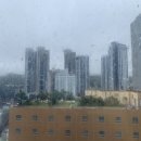 강보승이비인후과의원 이미지