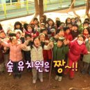 자연숲 유치원 이미지