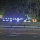 정비단지사거리 이미지