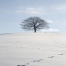 서울구치소 이미지