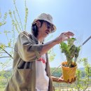 기린농장 이미지