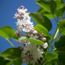 완산-148 이미지