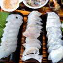 바다초장 - 창원시 진해구 | 바다초장