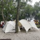 아프리카예술박물관 캠핑장 이미지