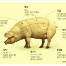 장산리막국수 네이버블로그