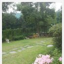 동화펜션 이미지