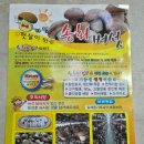 송화1리마을회관 | 겨울에도 자라는 가평 참솔농원 송화버섯 (송화고버섯)~ 육질이 단단하고 버섯향이 좋아 명절선물로 굳~~♡