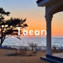 외성삼거리 농협하나로마트 앞 | 태안 대가족 독채펜션 까사솔피노 프라이빗 스파 오션뷰 감성숙소