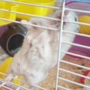 수완종합동물병원 이미지