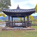 산하유