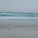 온종일바다 이미지