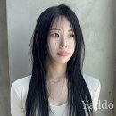 여기잘헤어