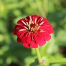 황산공원(황산B) 이미지