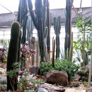 유식물원 이미지