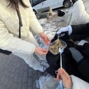 당구닷컴 | 🇮🇹 이탈리아 교환학생 2탄 | 🇮🇸아이슬란드 | 레이캬비크 오로라 블루라군 골든서클 || 한 아이를...