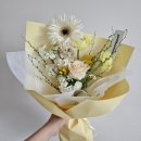 쁘띠보네르 이미지