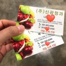 신광청과 이미지