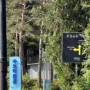 서울숲 간다면, 수도박물관 도슨트 예약하고 방문