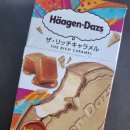 달달아이스크림 | 하겐다즈 크리스피 샌드위치 리치 카라멜 아이스크림 솔직후기 달달함 끝판왕