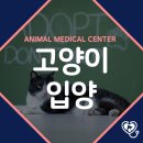 목감동물병원 이미지