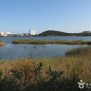 노적봉한정식 이미지