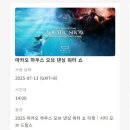 마카오 여행 코스 하우스 오브 댄싱 워터 쇼 좌석 시간 예약 추천 후기