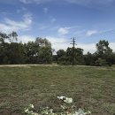 Flower Gar 이미지