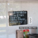 나디아 | [제주 애월 숙소]제주 가성비 좋은 숙소, 나디아펜션/내돈내산 추천후기