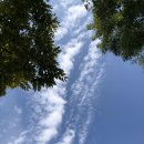 영생목장 이미지