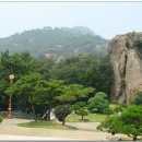유달산 이미지