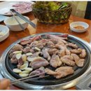 우리생오리 이미지