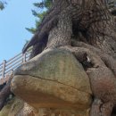 동로치안센터 이미지