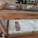 양천향교역 6번출구 이미지